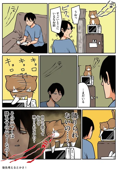 『鴻池剛と猫のぽんた ニャアアアン！4』より