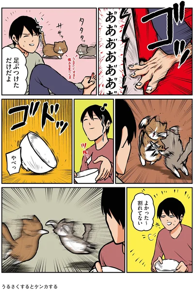 『鴻池剛と猫のぽんた ニャアアアン！4』より