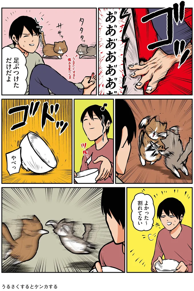 『鴻池剛と猫のぽんた ニャアアアン！4』より