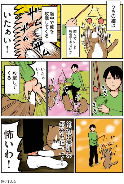 『鴻池剛と猫のぽんた ニャアアアン！4』より