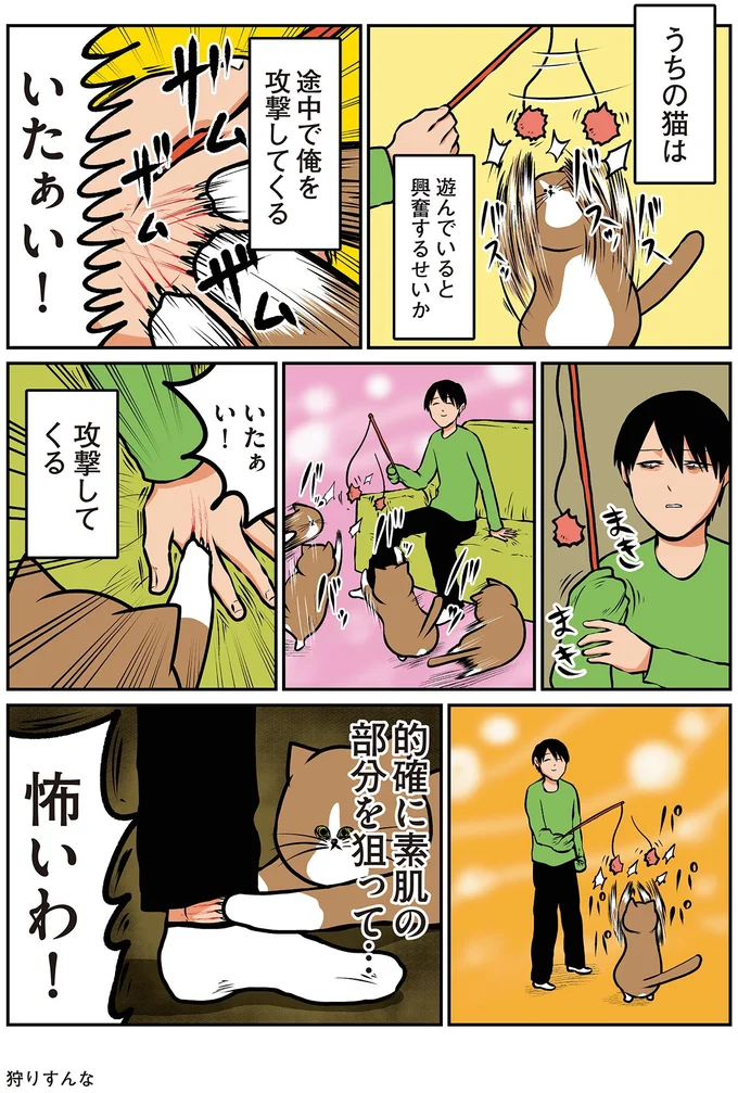 『鴻池剛と猫のぽんた ニャアアアン！4』より