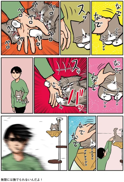 『鴻池剛と猫のぽんた ニャアアアン！4』より