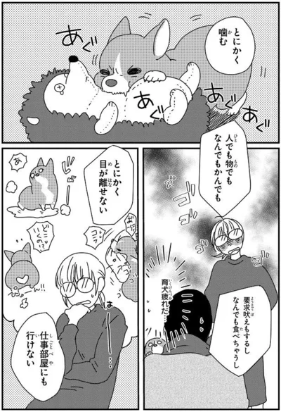 『ぼくもいっしょ！』より