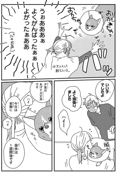 『ぼくもいっしょ！』より