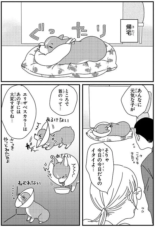 『ぼくもいっしょ！』より