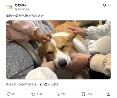 話題になった「家族一同から撫でられる犬」▶みんなに囲まれてうっとりした表情です（⇒次へ）