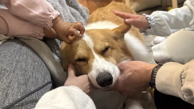 幸せがたっぷり感じられる一枚です▶家族全員撫でるのが大好きなふわふわワンコ（⇒次へ）