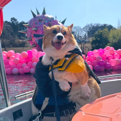 ボートを楽しむラッキーちゃん▶家族とお出かけを楽しんでいます（⇒次へ）