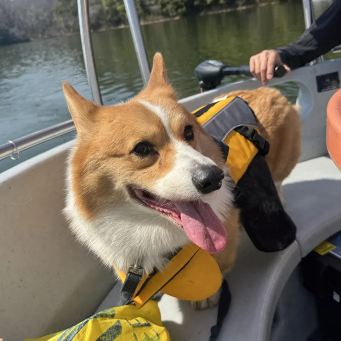 ワクワクする様子が伝わってきます▶やっぱり最高の表情！（⇒次へ）