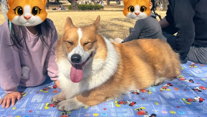 ピクニックで幸せそうな表情をするラッキーちゃん▶くっついて、全員が嬉しい関係（⇒次へ）