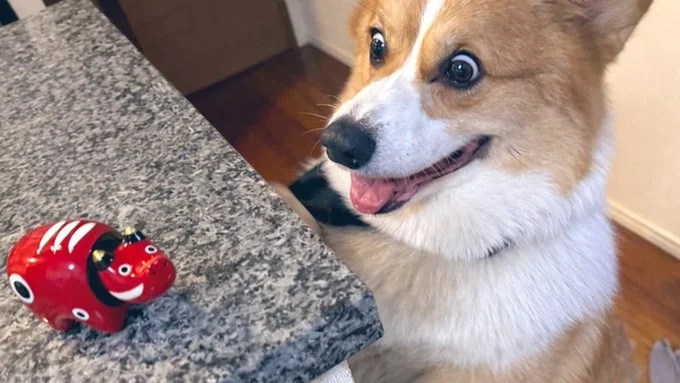 あかべことの出会い▶そっくり…かな…？（⇒次へ）