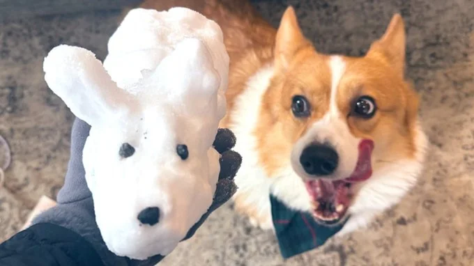 影武者▶お部屋を散策（⇒次へ）