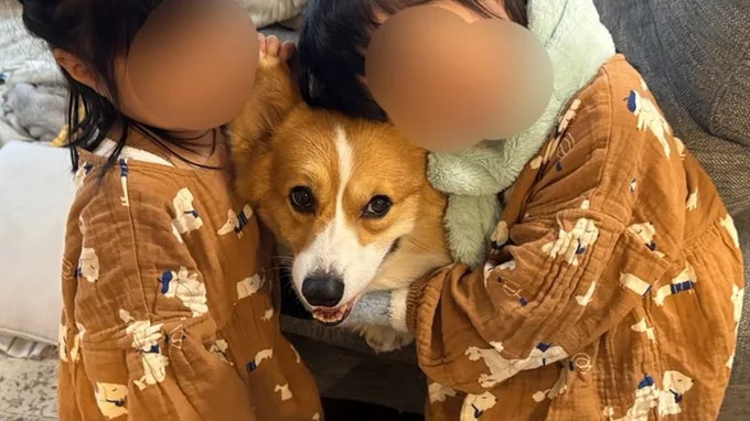 寒い日はもふもふのラッキーちゃんが大人気！▶ラッキーちゃんの目線に注目！（⇒次へ）