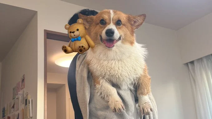 洗い立て▶上目遣いが上手！（⇒次へ）