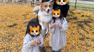 黄色い絨毯とラッキーちゃんたち▶ピクニックでも幸せそうなお顔！（⇒次へ）