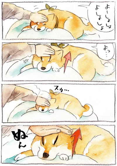 いないいないばあ