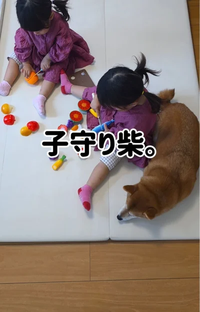 双子ちゃんを見守る▶子どもたちとの触れ合い…（⇒次へ）