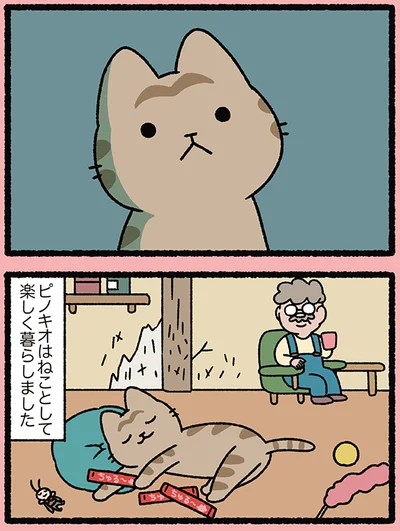 ねことして楽しく暮らしました