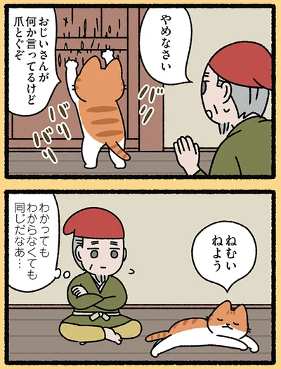 言葉がわかってもねこはねこ