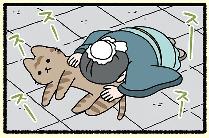 【過ぎたるは及ばざるが如しとねこ】ねこに夢中！ 弟子には師の教えも届かない