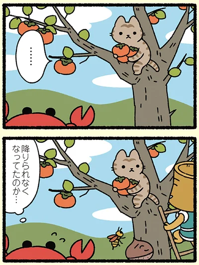 降りられなくなってただけ