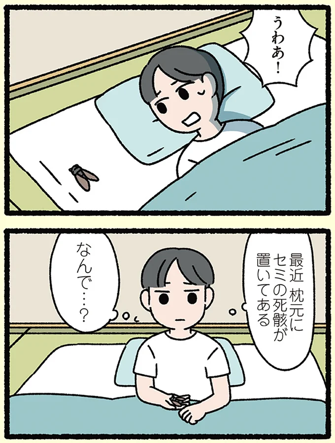 いつもセミをくれたのは…