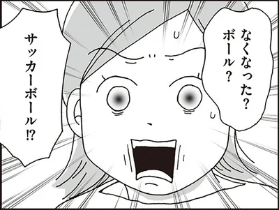 なくなった？ボール？