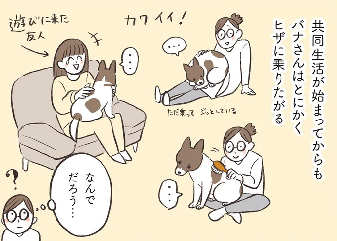 とにかくヒザに乗りたがる