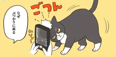 なぜぶつかりに来る