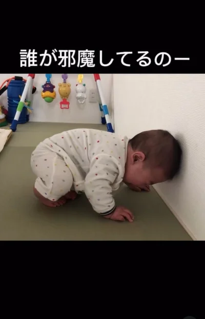 壁に頭をぐりぐり押し付ける▶場所を変えてみると…（⇒次へ）