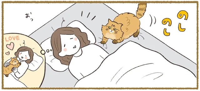 寝ている私のところへやってきた！と思っていたら「あれ？」