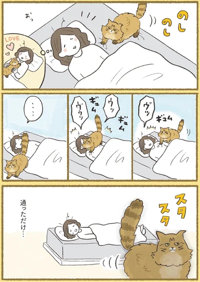 通っただけ…