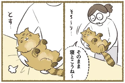 そのまま寝とこうね～