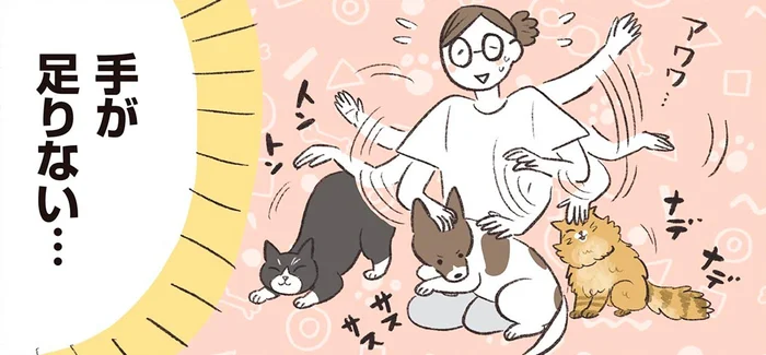 愛情3倍！我が家の3匹が可愛すぎて、手が足りない！