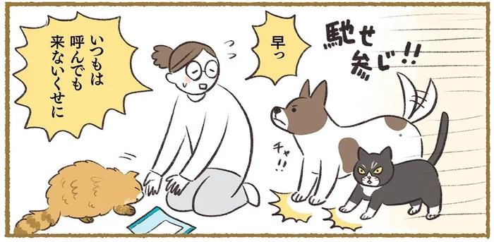 「いつもは呼んでも来ないのに！」ナイショのおやつにしようとしたら