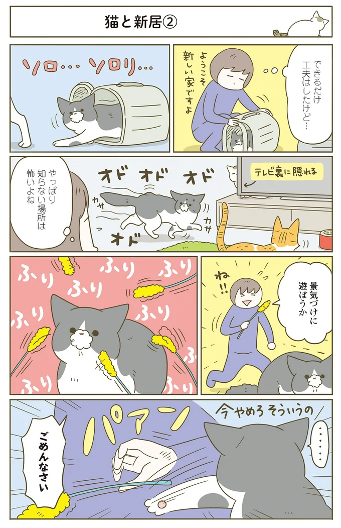 『うちの猫がまた変なことしてる。７』より