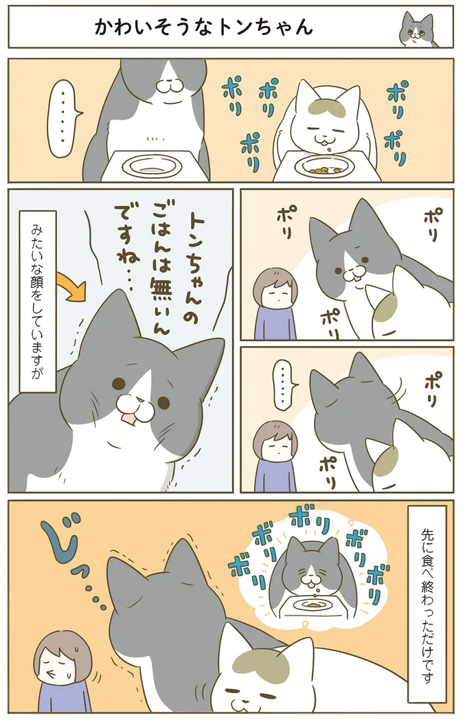 『うちの猫がまた変なことしてる。７』より