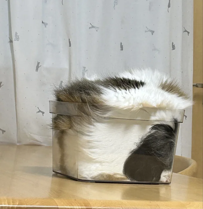 全身を収納できます！▶箱からお手手を伸ばしてリラックス（⇒次へ）