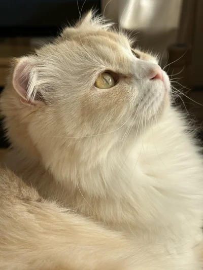 何を見つめているのかな▶吸い込まれそうなお目目（⇒次へ）