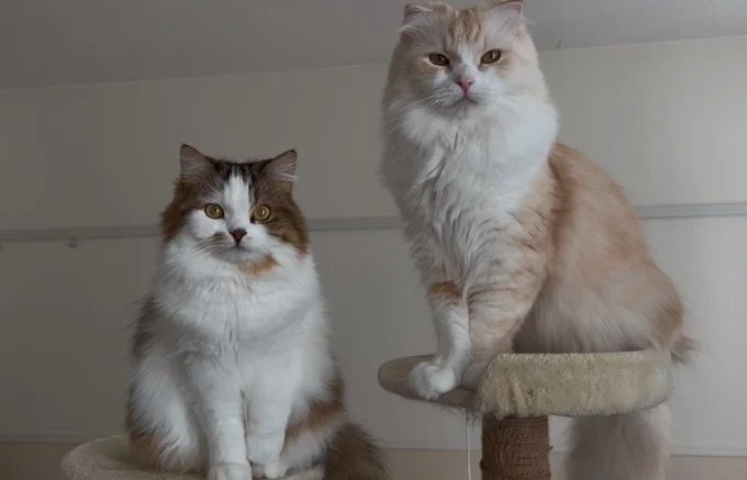 カメラ目線もばっちりですね！▶見返り美人（⇒次へ）