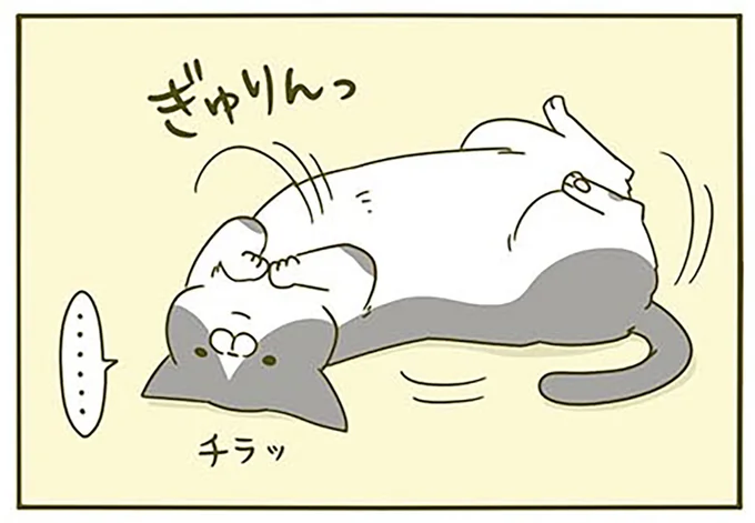 チラッ