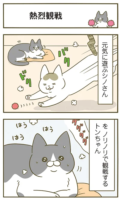 熱烈観戦