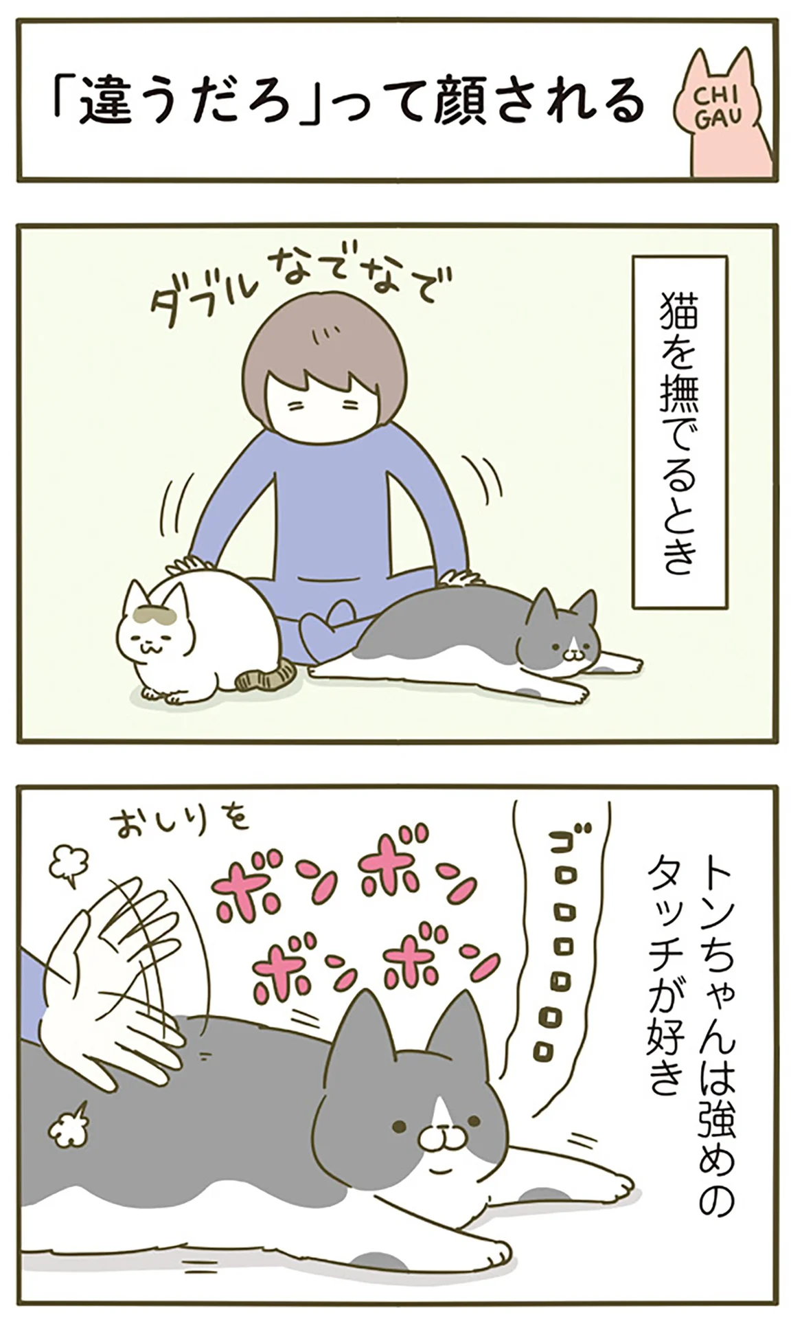 元気に遊ぶ後輩猫を観戦する先輩猫。自分は動いてないのに…？ - レタス