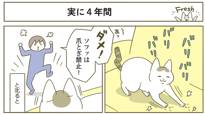 『うちの猫がまた変なことしてる。4』より