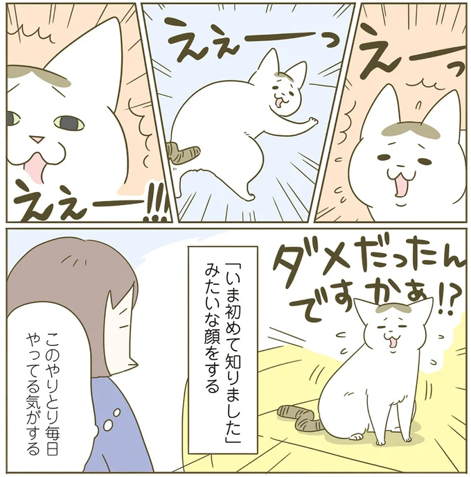 『うちの猫がまた変なことしてる。4』より