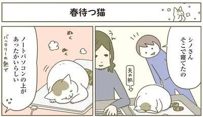 『うちの猫がまた変なことしてる。4』より