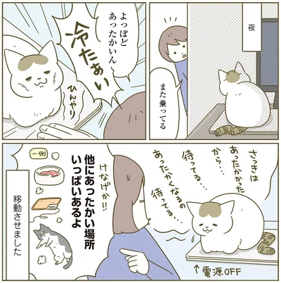『うちの猫がまた変なことしてる。4』より