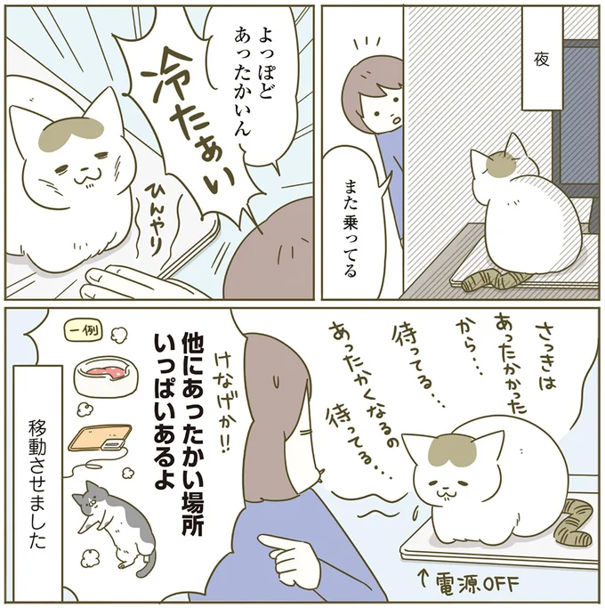 『うちの猫がまた変なことしてる。4』より