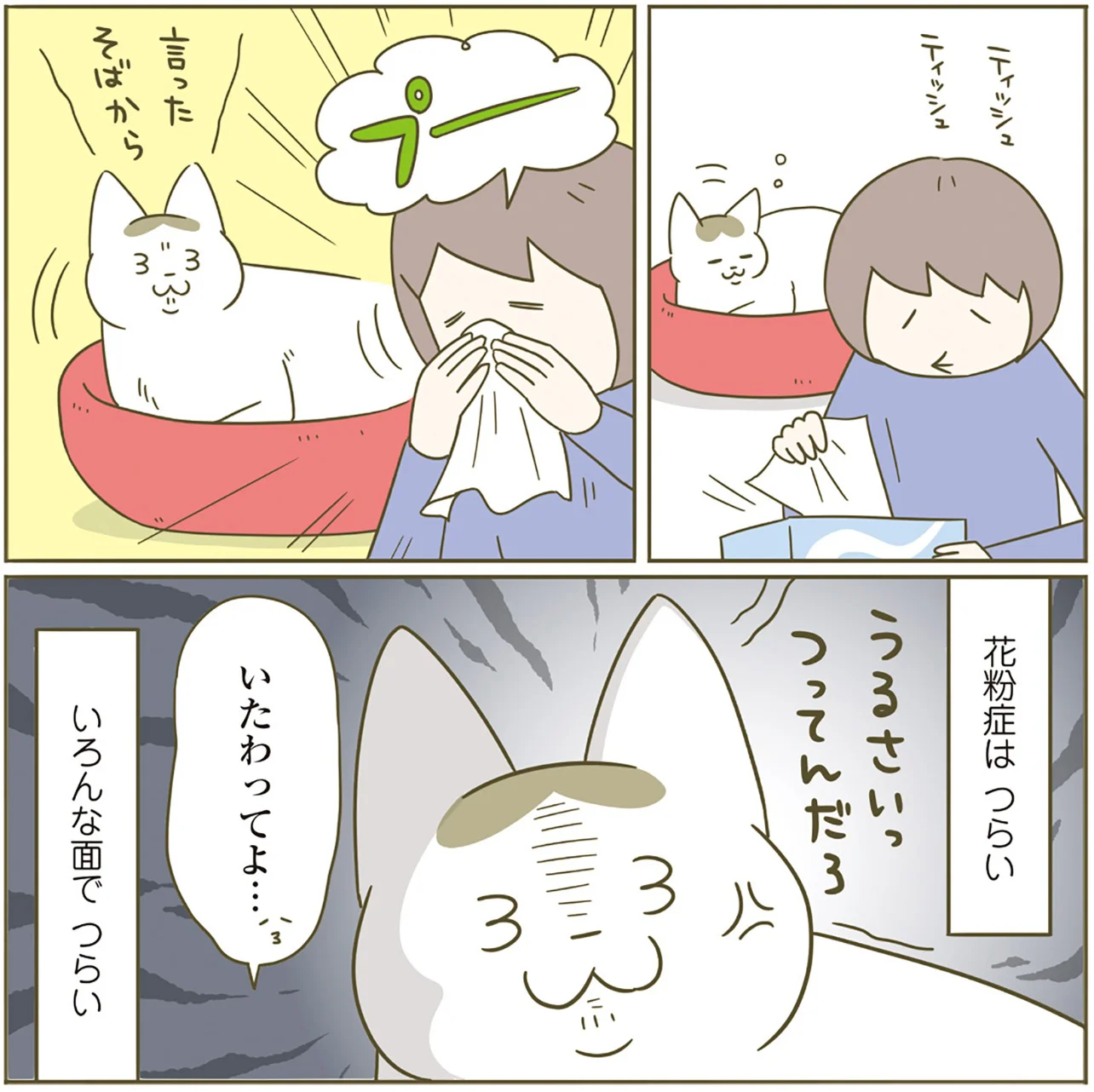 猫先輩 元気に遊ぶ後輩猫を観戦する先輩猫。自分は動いてないのに…？（画像17