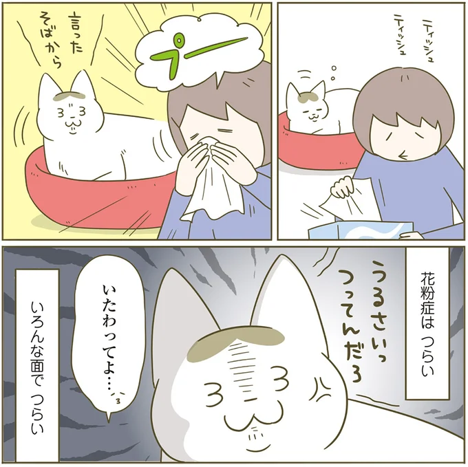 『うちの猫がまた変なことしてる。4』より